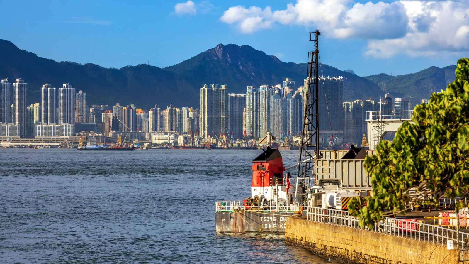 Canon EOS R5 F11 1/400s ISO200 171mm Aperture Priority(Av)