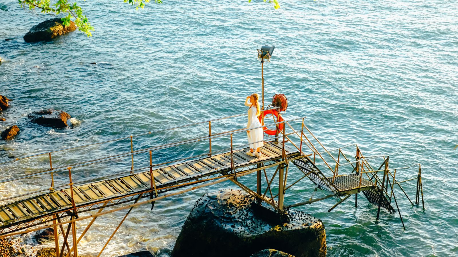 Fujifilm X-T20, XF35mmF1.4 R, f/3.2, auto ISO, 1/4000s