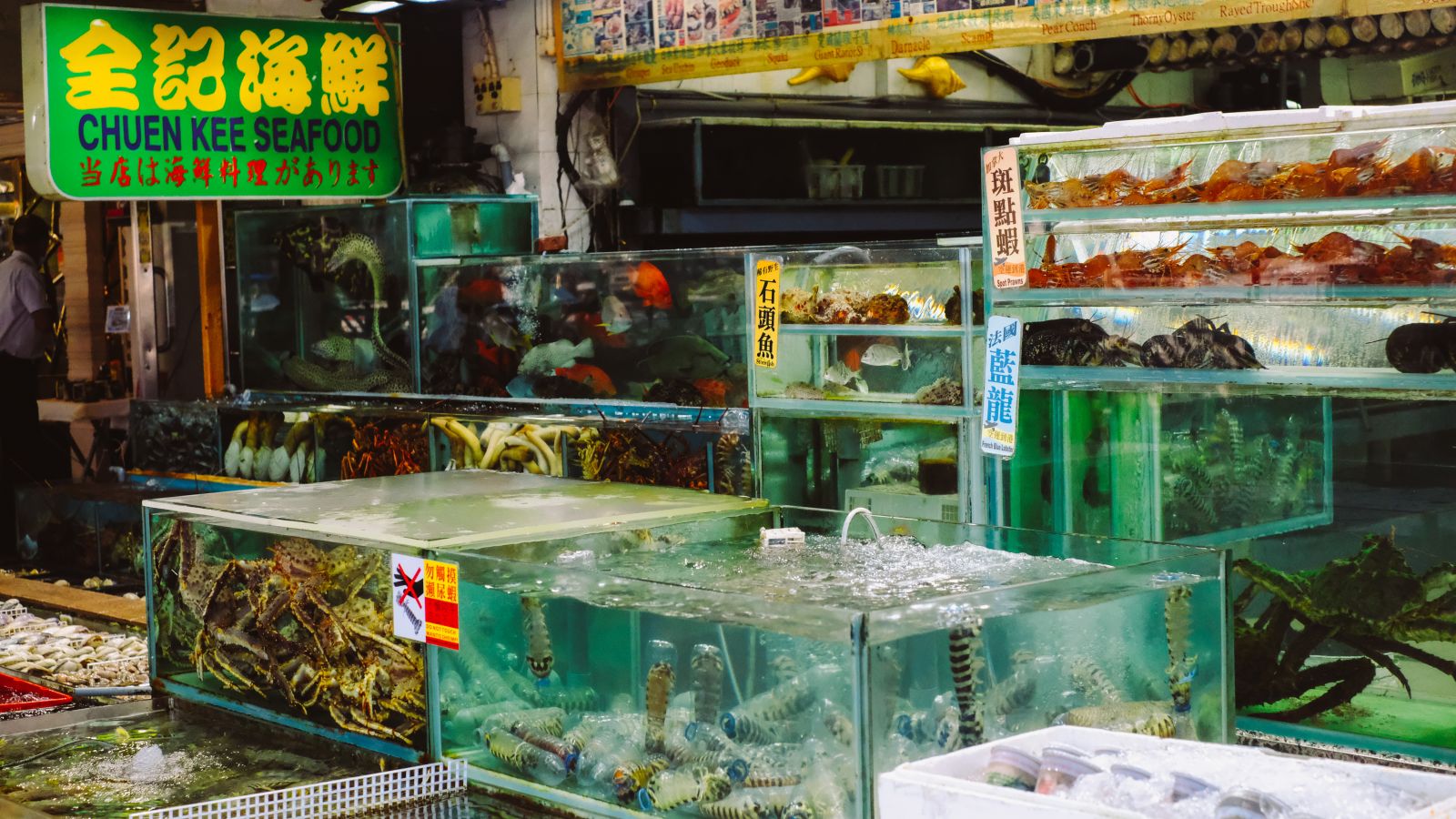 Fresh seafood in the restaurant