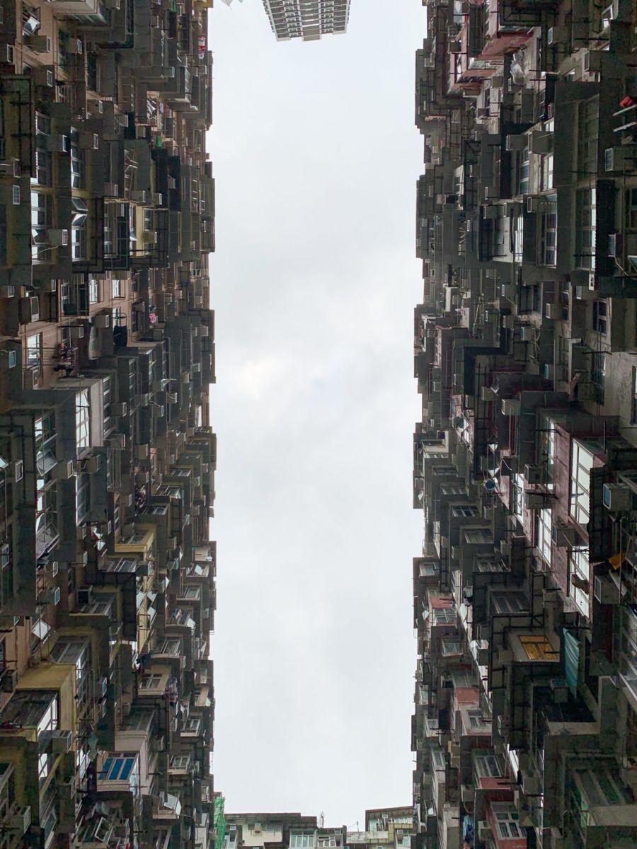 Frog in the well. iPhone XR