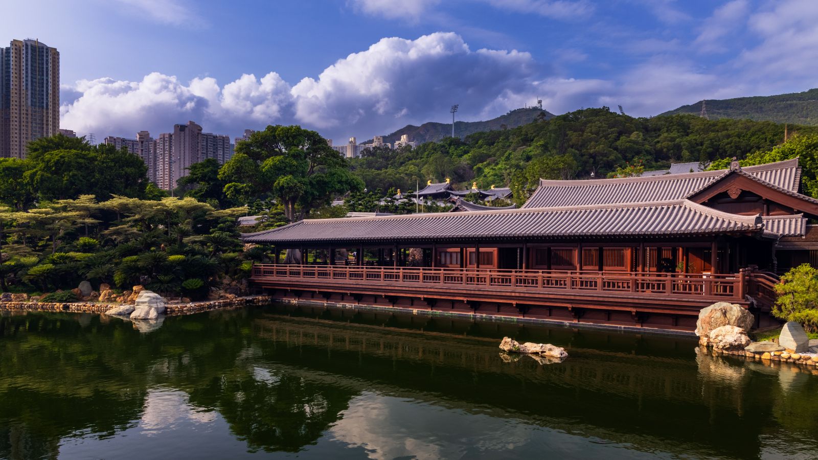 A break from the busy city 