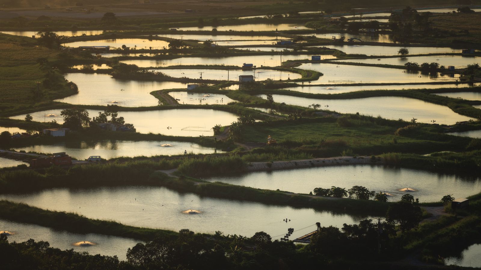  Canon EOS R5 with RF 100-400, F11 1/160s 123mm ISO 125