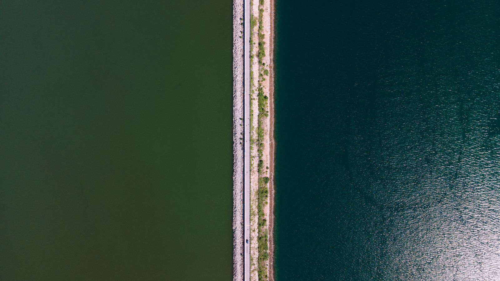 Bird eye's view of Plover Cove Reservoir